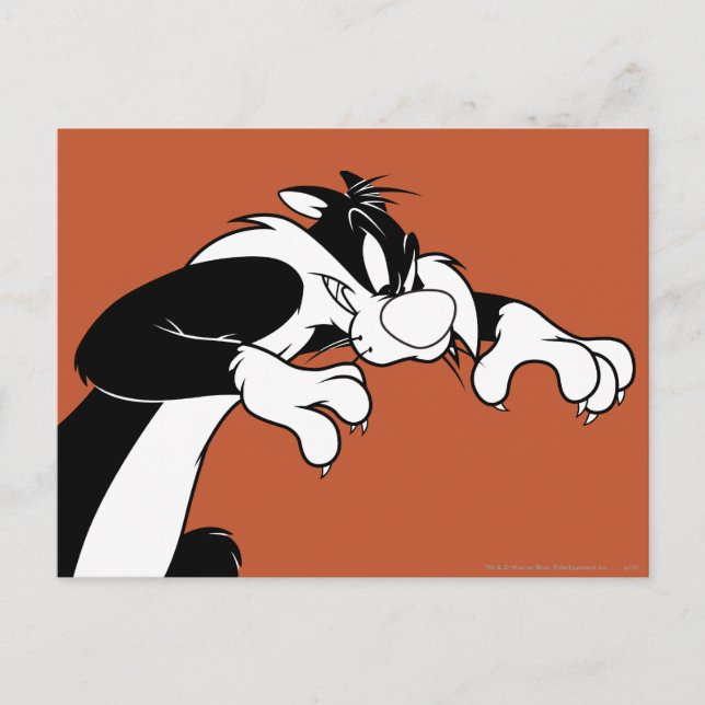 Carte Postale Prowling SYLVESTER™ (Devant)