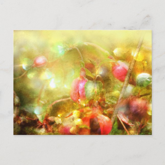 Carte Postale Psaume 37 (Devant)