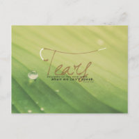 Psaume 56:8 - Les larmes sont aussi des prières