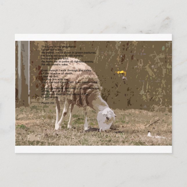Carte Postale Psaumes 23 (Devant)