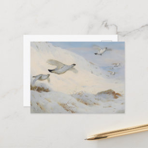 Carte Postale Ptarmigan en plumage hivernal, volant à travers la