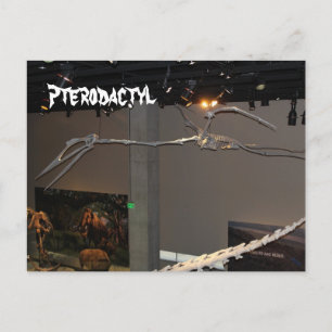 Carte Postale Ptéodactyle