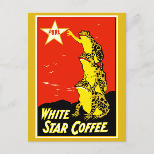 Carte Postale Publicité de café vintage étoile blanche rétro de 
