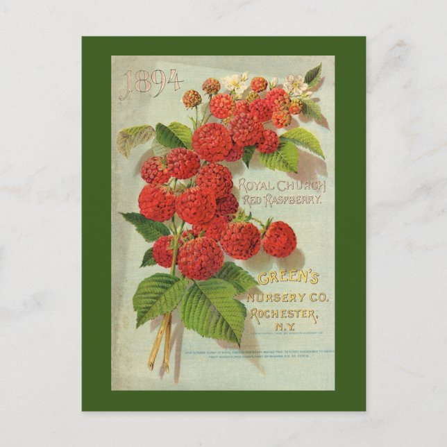 Carte Postale Publicité de Green’s Nursery Co. (Devant)