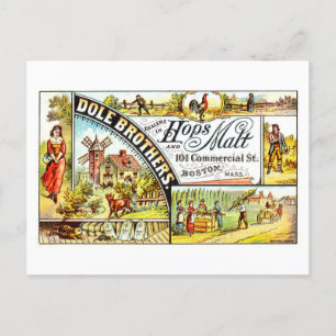 Carte Postale Publicité vintage pour Dole Bros. Hops & Malt