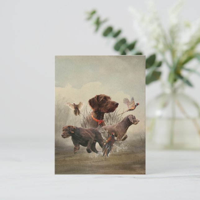 Carte Postale Pudelpointers, Chasse faisan (Debout devant)