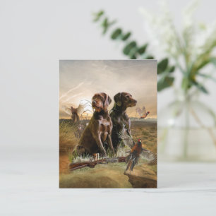 Carte Postale Pudelpointers, Chasse faisan