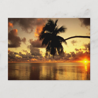 Carte Postale Puerto Vallarta