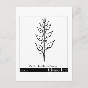 Carte Postale Puffia Leatherbellowsa.