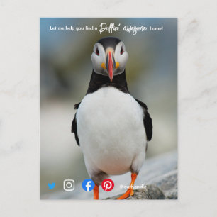 Carte Postale puffin génial marketing agent immobilier postca