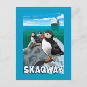 Carte Postale Puffins et bateau de croisière - Skagway, Alaska