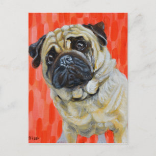 Carte Postale Pug 0range