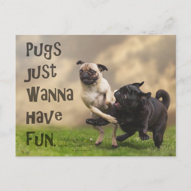 Carte postale "Pugs just wanna have fun" (Devant)
