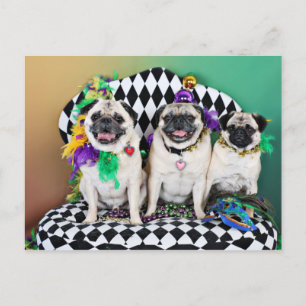 Carte Postale Pugsgiving Mardi Gras 2015 - Hambone Coco Olivia -