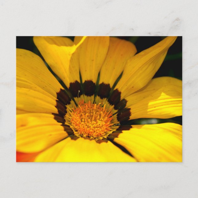 Carte Postale Puissance jaune (Devant)