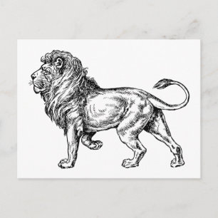 Carte Postale Puissante croquis Lion
