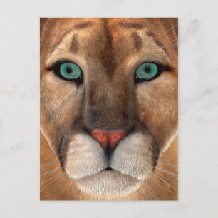 Carte Postale Puma