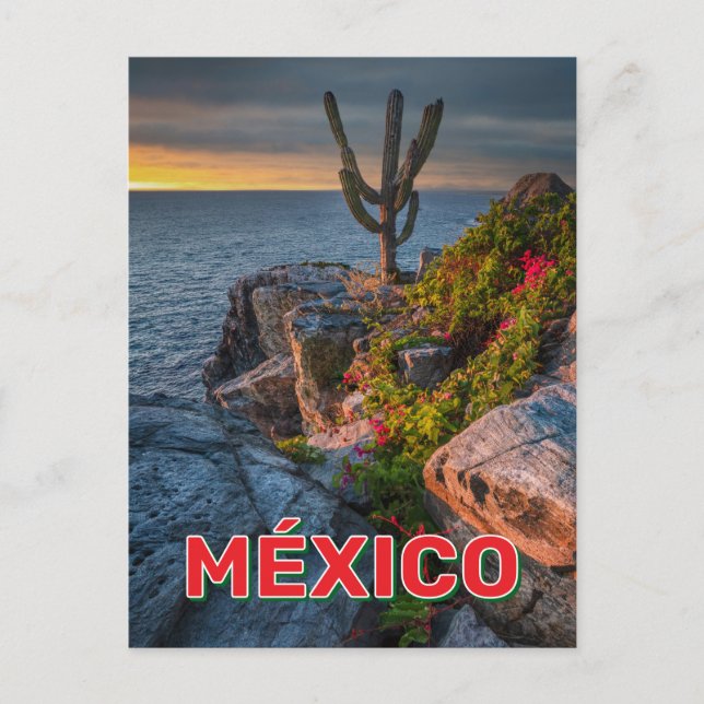 Carte Postale Punta Lobos, Basse Californie, Mexique (Devant)