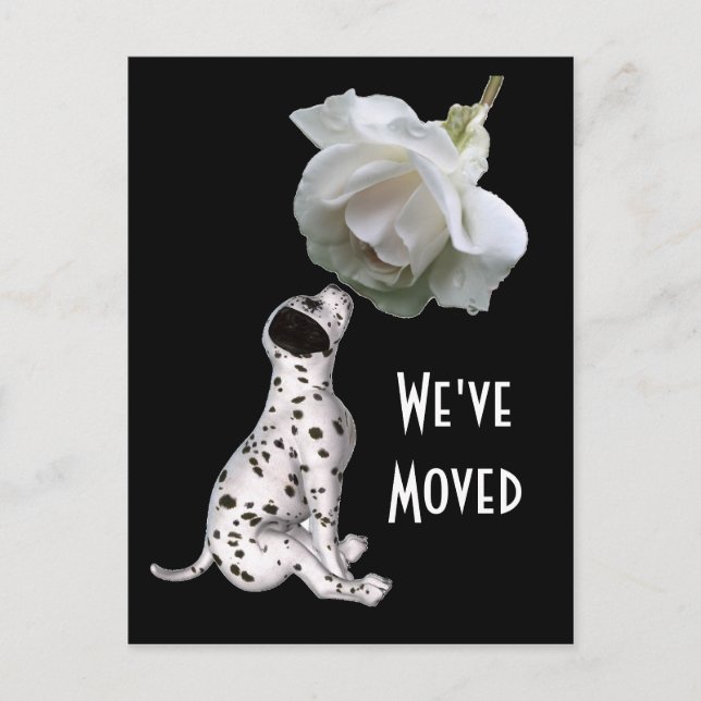 Carte Postale Puppy Et Rose Nouvelle Adresse (Devant)