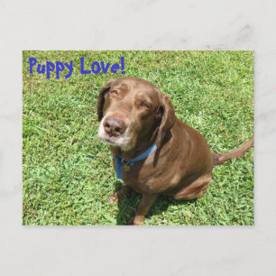 Carte Postale Puppy Love !