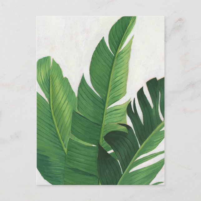 Carte Postale Pura Vida - Feuilles tropicaux (Devant)