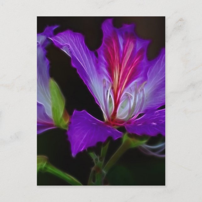 Carte Postale Pureté (Devant)