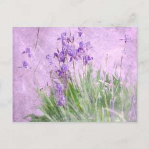 Carte Postale Purple