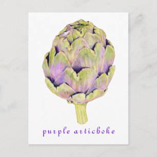 Carte Postale Purple Artichoke