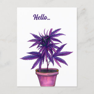 Carte postale Purple Cannabis