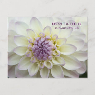 Carte Postale Purple Dahlia ・ Dîner De Répétition Invitation