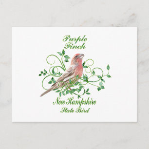 Carte Postale Purple Finch New Hampshire State Bird