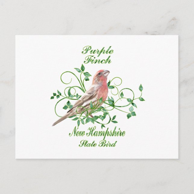 Carte Postale Purple Finch New Hampshire State Bird (Devant)