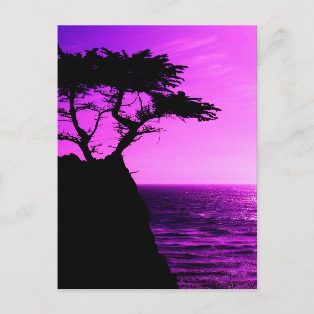 Carte Postale Purple Sunset Beach Tree Ocean Peace Love Destiny (Devant)