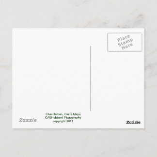 Carte Postale Pyramide Chacchoban