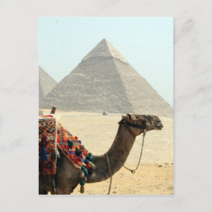 Carte Postale pyramide de chameau