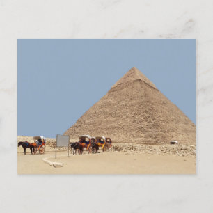 Carte Postale Pyramide de Khafre et chapelet de chars