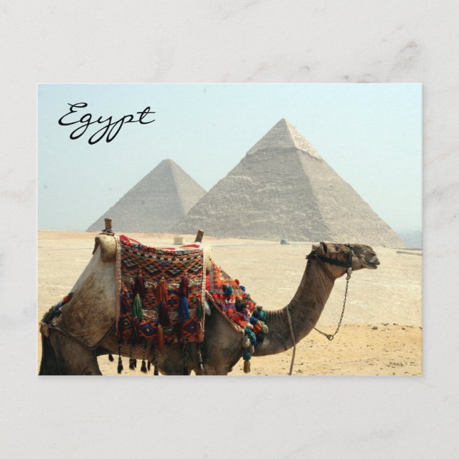 Carte Postale pyramide d'égypte (Devant)