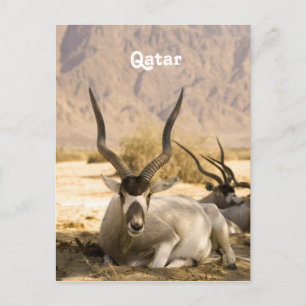 Carte Postale Qatar