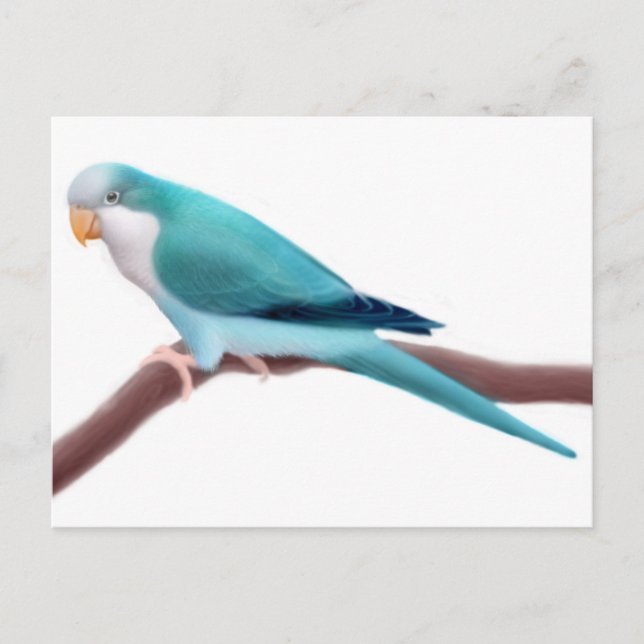 Carte postale Quaker Parakee (Devant)