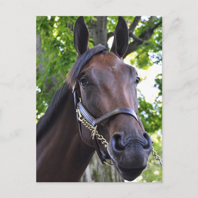 Carte Postale Qualité difficile (Devant)