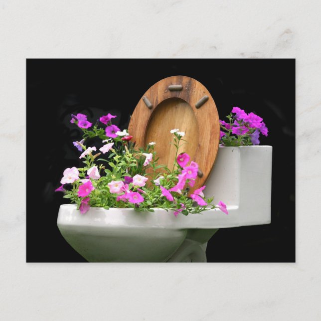 Carte Postale Quand la vie te donne du caca (Devant)