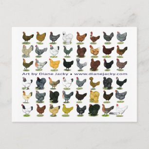 Carte Postale Quarante-huit Hen Promo