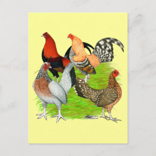 Carte Postale Quartet à l'anglais