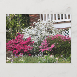 Carte Postale Quartier Azaleas