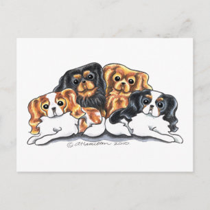 Carte Postale Quatre CKCS