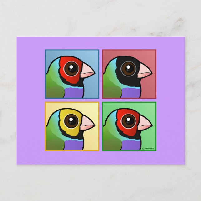 Carte Postale Quatre couleurs Gouldian Finch (Devant)