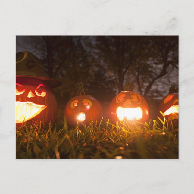 Carte Postale Quatre Jack-o-lanternes à Halloween (Devant)
