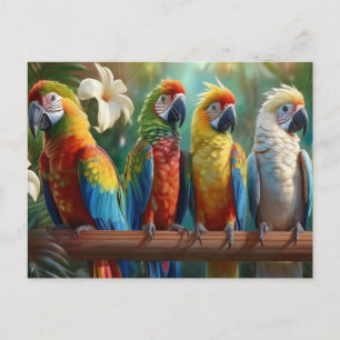 Carte Postale Quatre perroquets colorés