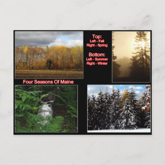 Carte Postale Quatre Saisons Du Maine