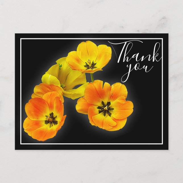 Carte Postale Quatre tulipes jaune orange Fond noir Merci (Devant)